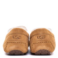 UGG Mens Ascot Chestnut