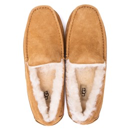 UGG Mens Ascot Chestnut