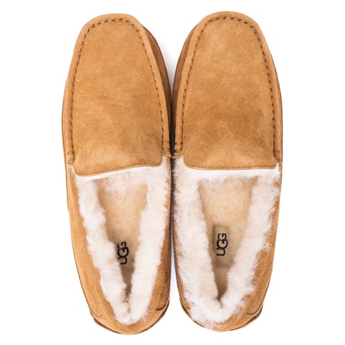 UGG Mens Ascot Chestnut