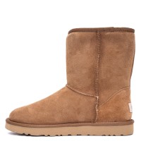 UGG Mens Classic Short II Chestnut