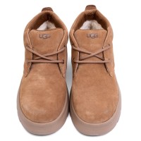 UGG Mens Burleigh Chukka Chestnut